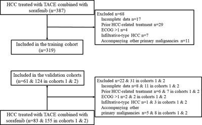 Prognostic Performance of Albumin–Bilirubin Grade With Artificial Intelligence for Hepatocellular Carcinoma Treated With Transarterial Chemoembolization Combined With Sorafenib